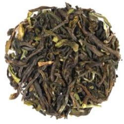 2023 Thurbo Darjeeling First Flush Tea