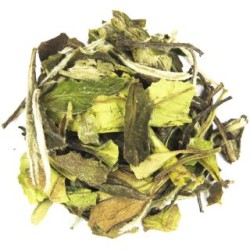 Bai Mu Dan Organic White Tea