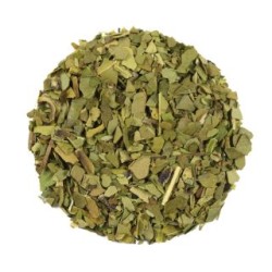 Yerba Mate Tea